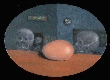 Egg Study #5